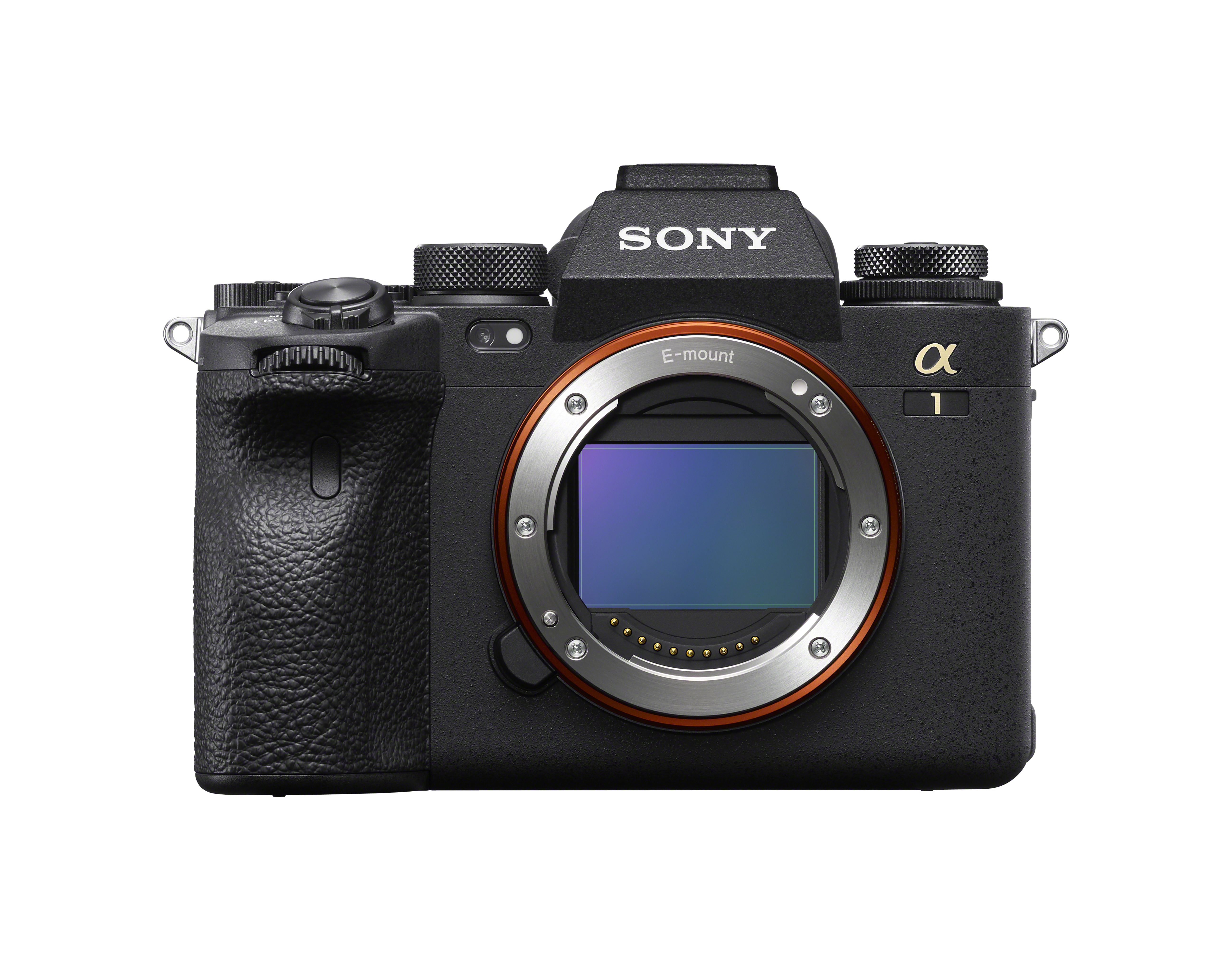 sony alpha point and shoot
