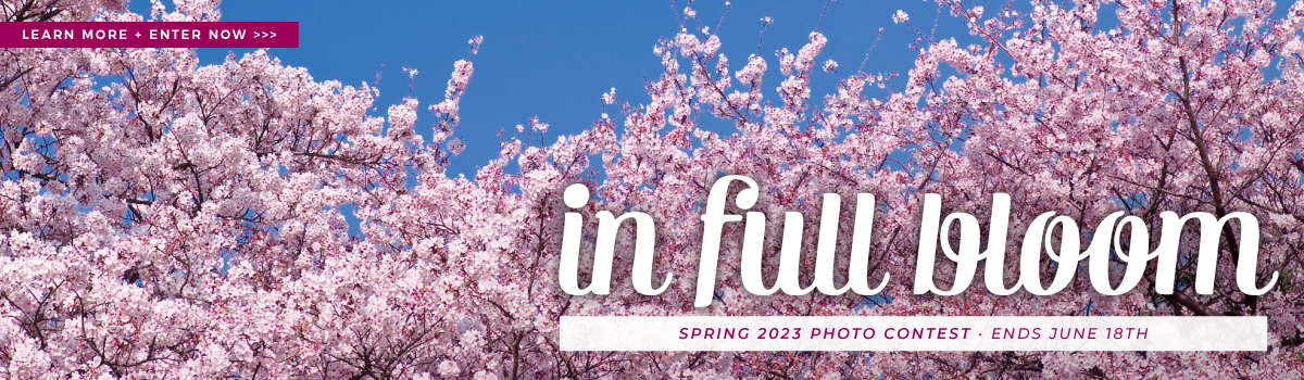spring contest - banners hp banner