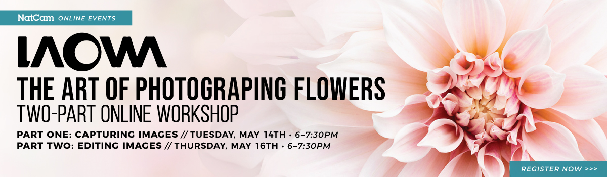 laowa flower workshop 05-14_hp banner