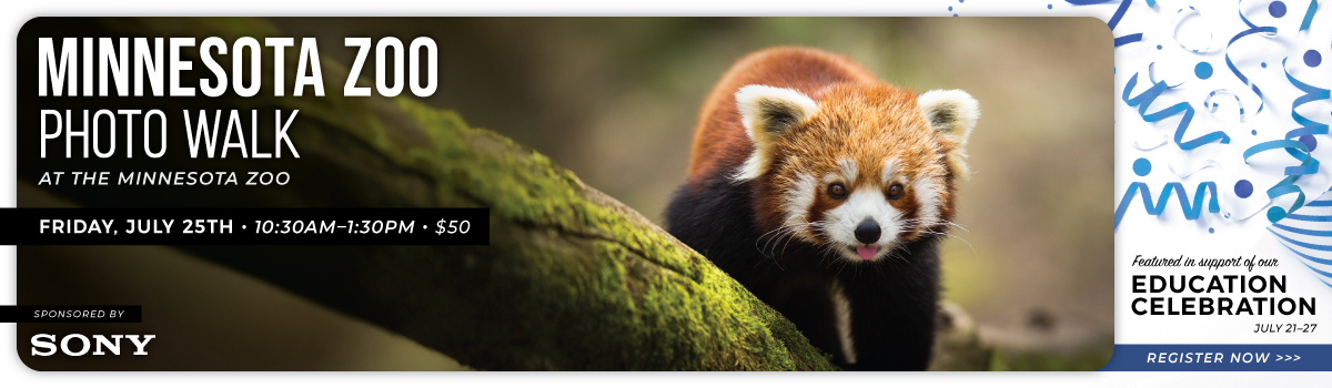 07.25 sony zoo walk_hp banner
