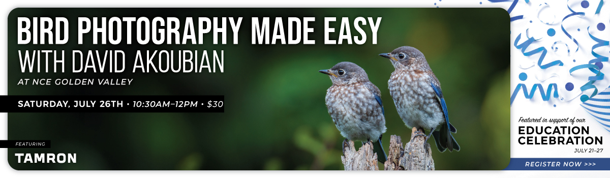 07.26 tamron bird easy_hp banner