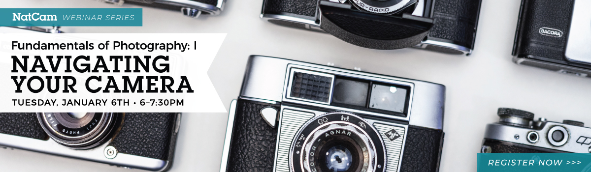 nce fund 1 01-06_hp banner