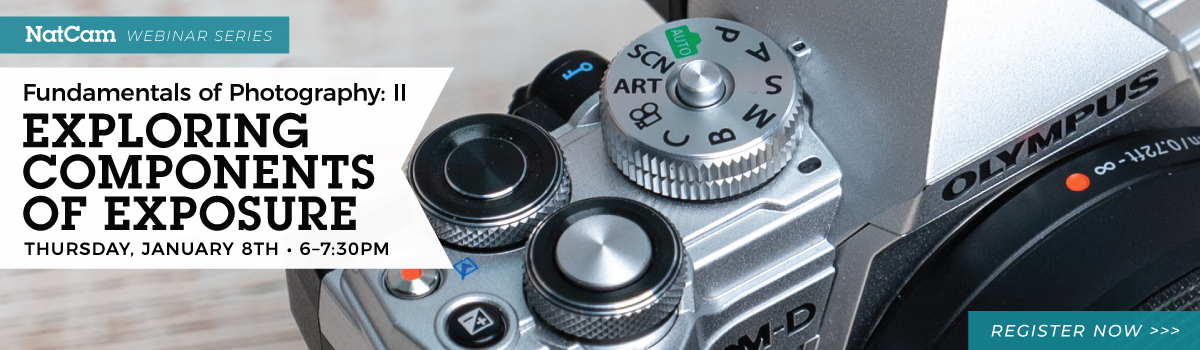 nce fund 2 01-08_hp banner