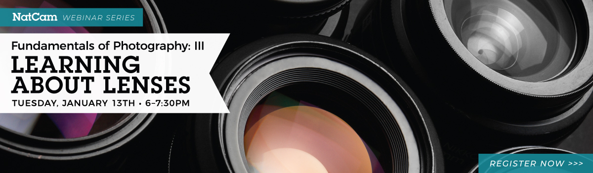 nce fund 3 01-13_hp banner