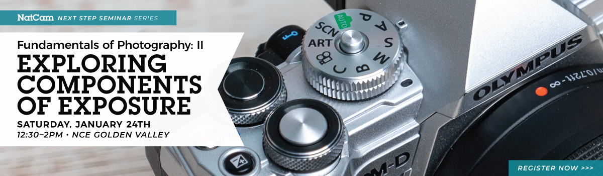 nce fund 2 01-24_hp banner