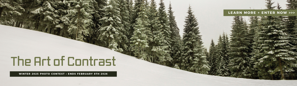 winter 25 photo contest hp banner