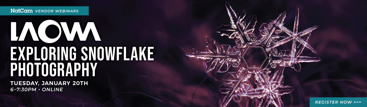 laowa snowflakes 01-20_hp banner