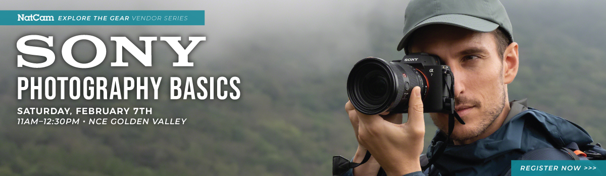 sony basics 02-07_hp banner