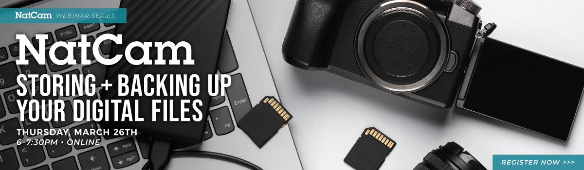 nce storing 03-27_hp banner