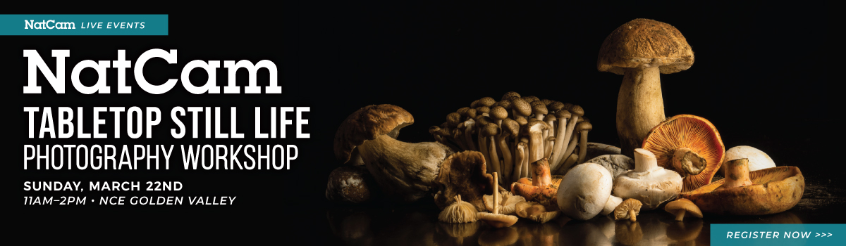 nce tabletop 03-22_hp banner