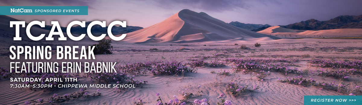 tcaccc sb 04.11_hp banner 1