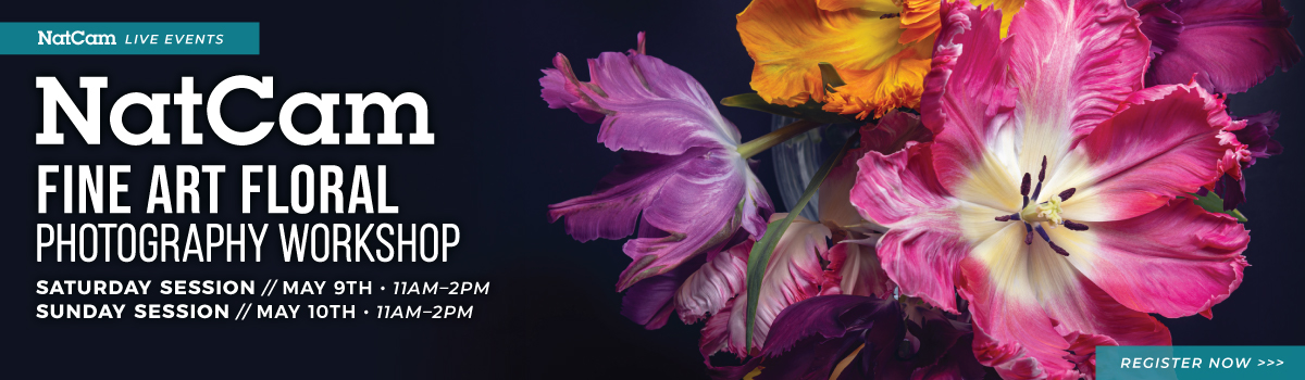 nce floral 05-09_hp banner