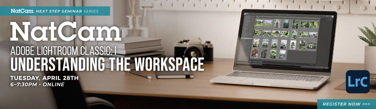 nce lr1 04-28_hp banner2