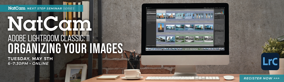 nce lr2 05-05_hp banner