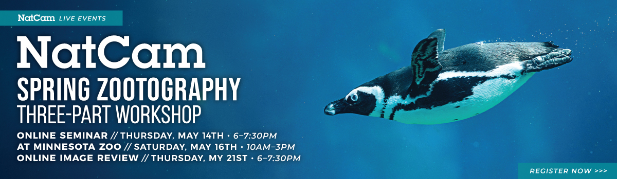 nce zoo 05-14_hp banner