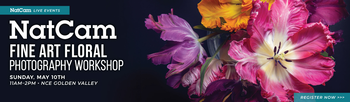 nce floral 05-09a_hp banner 2